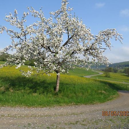 Ferienwohnung Rhoen Kaltennordheim 외부 사진